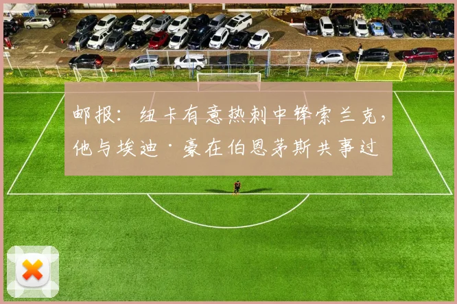 邮报：纽卡有意热刺中锋索兰克，他与埃迪·豪在伯恩茅斯共事过